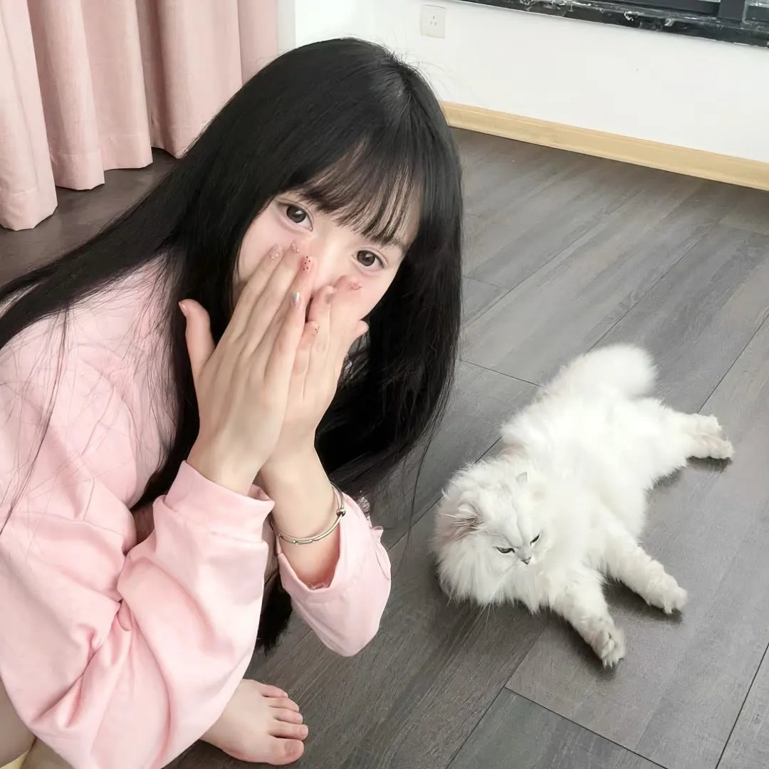 还珠记
